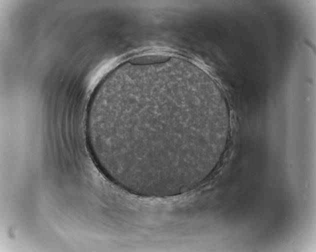 X0000102230007200808151741