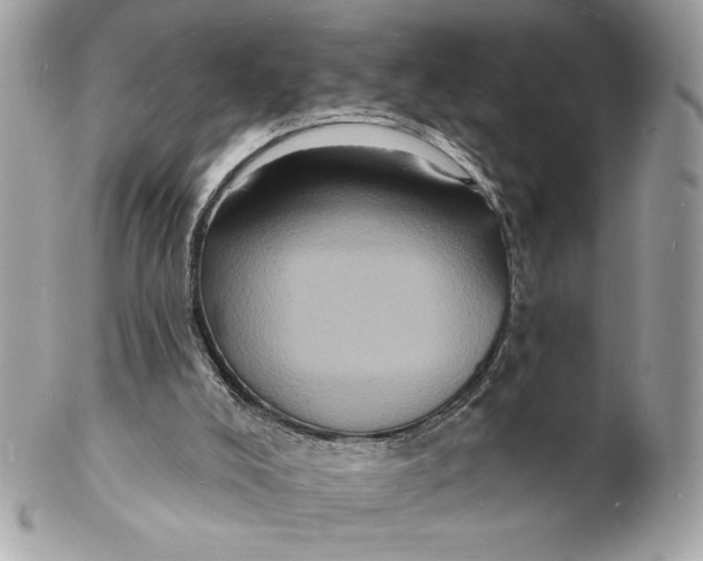 X0000102230008200808151741