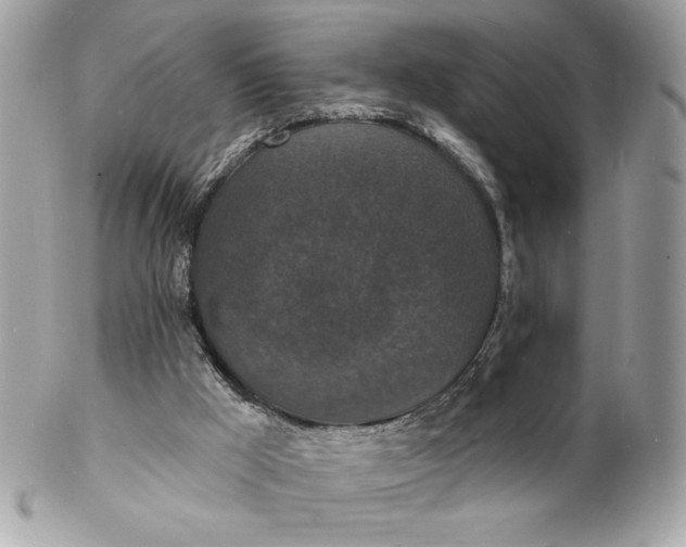 X0000102230009200808151741