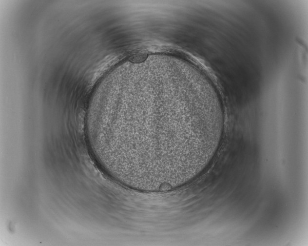 X0000102230010200808151740