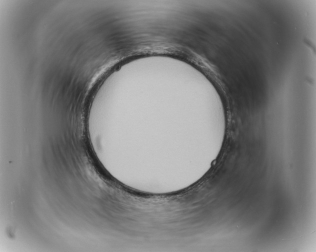 X0000102230012200808151740
