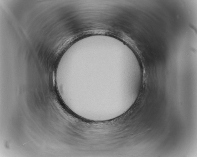 X0000102230013200808151740