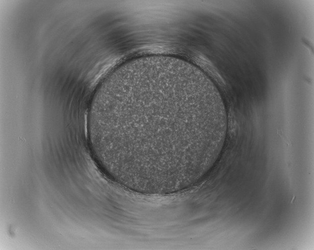 X0000102230014200808151740