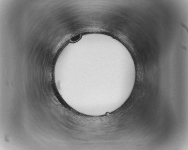 X0000102230015200808151740