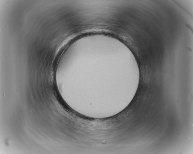 X0000102230016200808151740