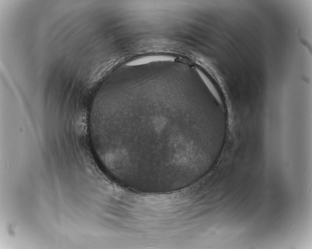 X0000102230017200808151740