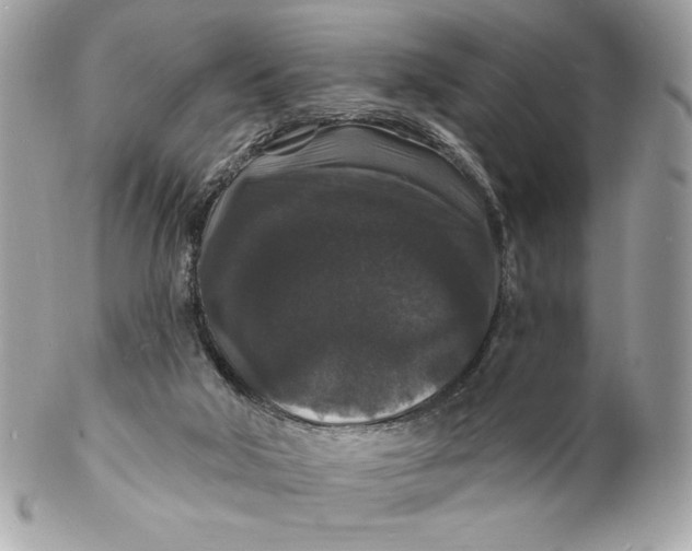 X0000102230018200808151740