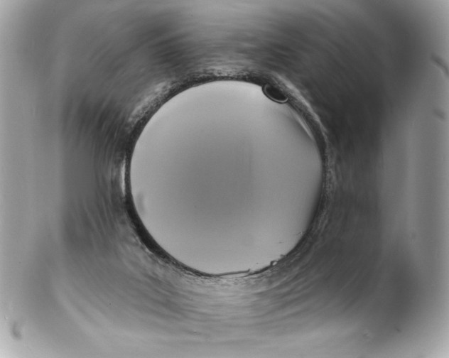 X0000102230019200808151740
