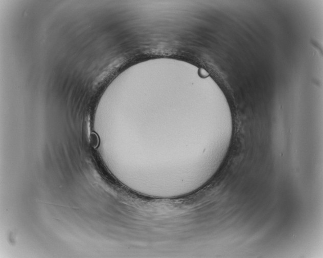 X0000102230020200808151740