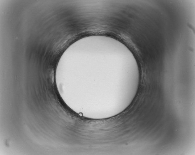 X0000102230021200808151740