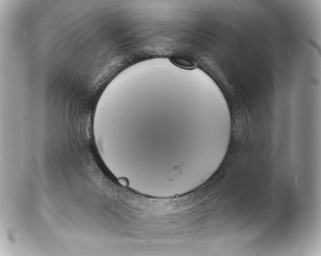 X0000102230023200808151740
