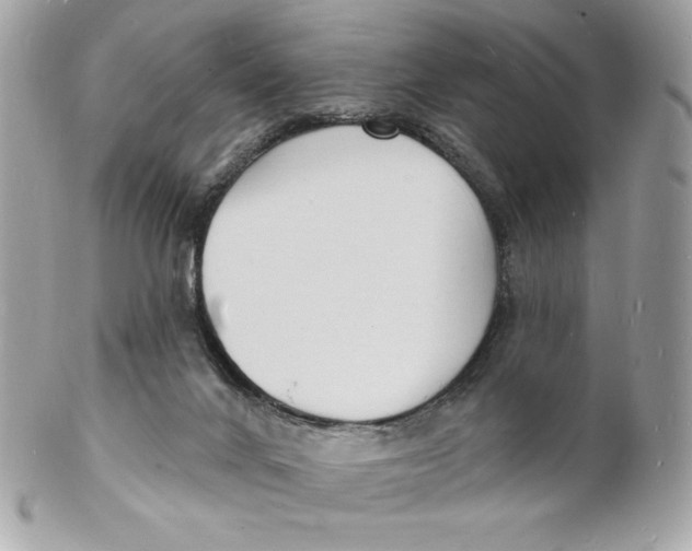 X0000102230024200808151740
