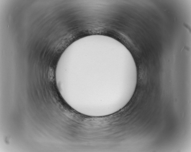 X0000102230025200808151740