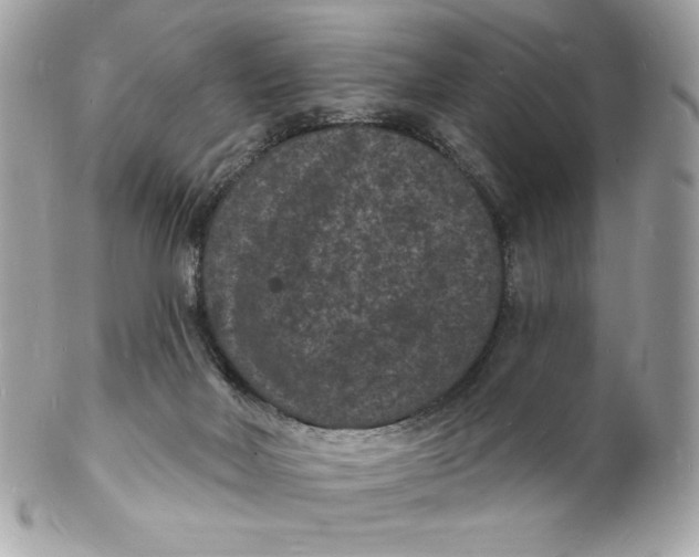X0000102230026200808151740
