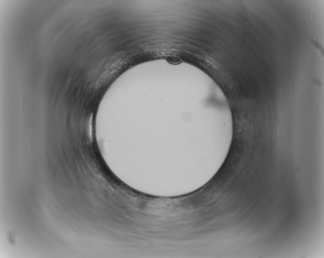X0000102230028200808151740