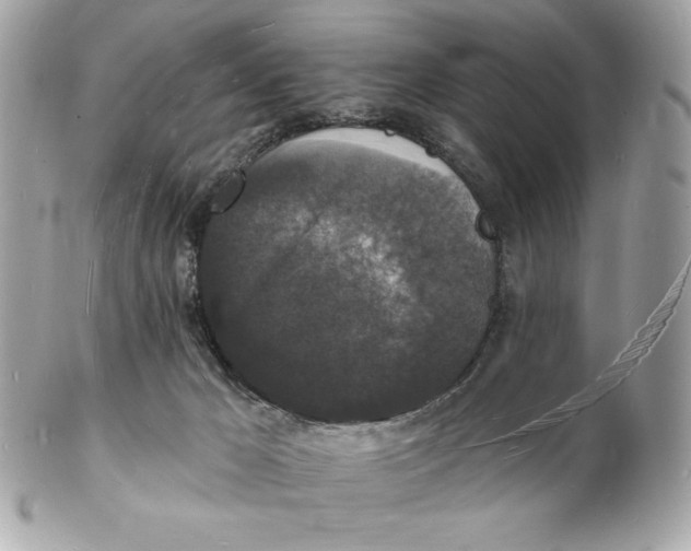 X0000102230029200808151740