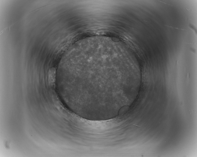 X0000102230030200808151740