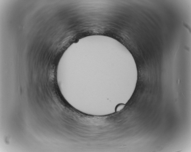 X0000102230032200808151740
