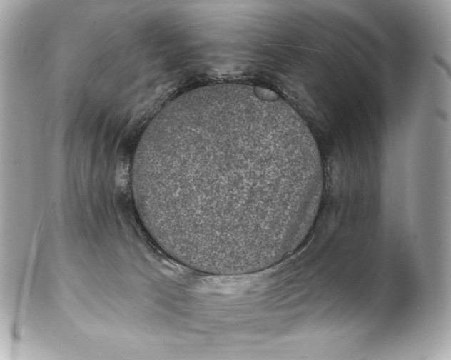 X0000102230033200808151740