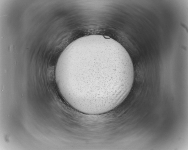 X0000102230034200808151740