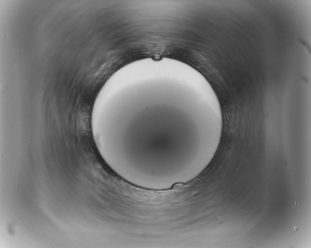 X0000102230035200808151740