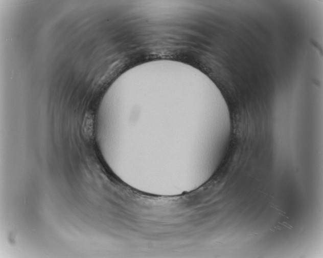 X0000102230036200808151740