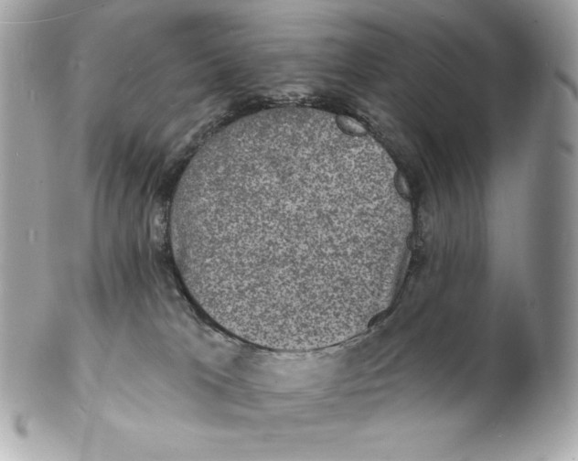 X0000102230037200808151740