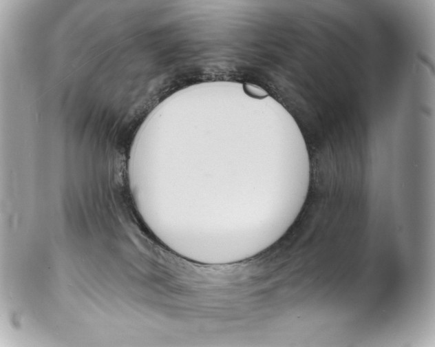 X0000102230038200808151740