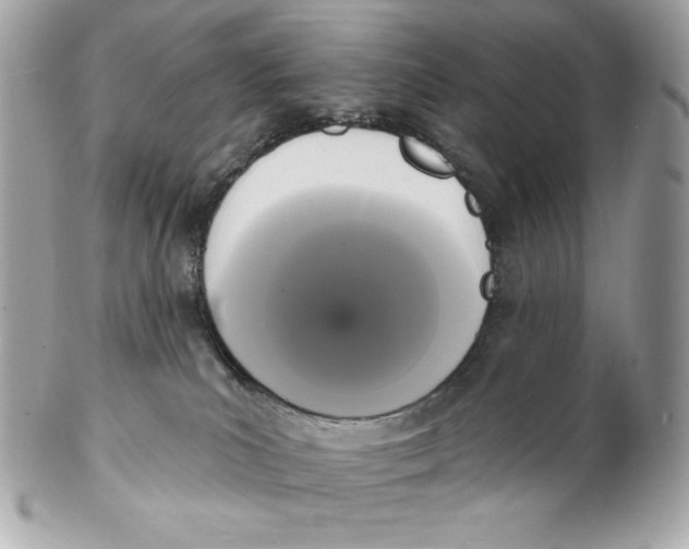 X0000102230039200808151740