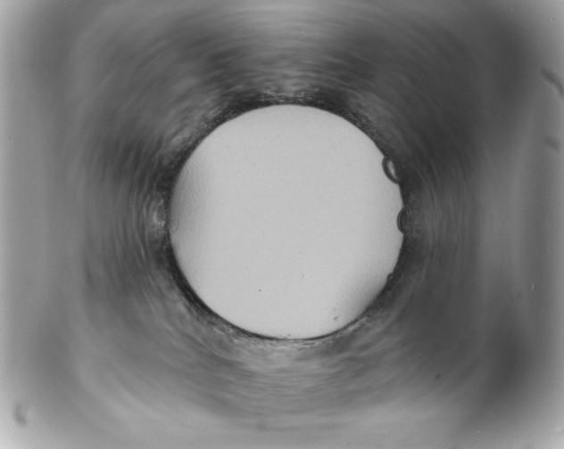 X0000102230040200808151740