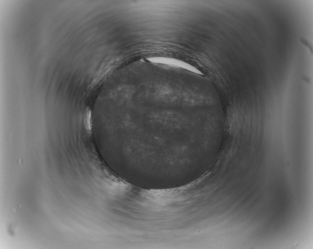 X0000102230041200808151740