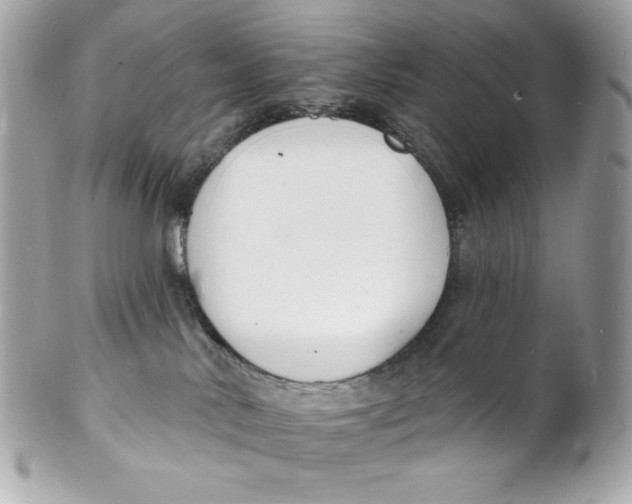 X0000102230042200808151740