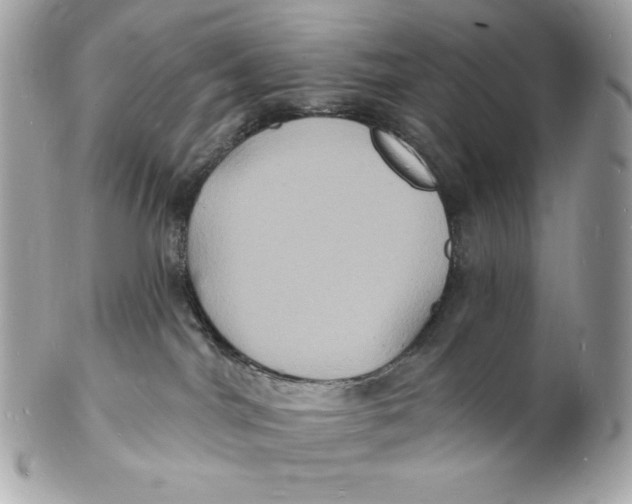 X0000102230044200808151740