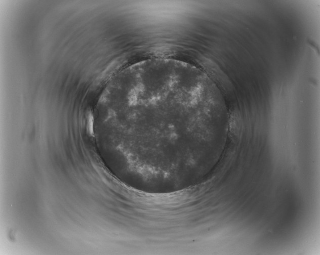 X0000102230046200808151740