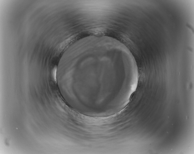 X0000102230047200808151740