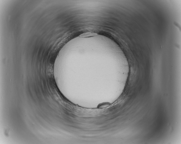 X0000102230048200808151740