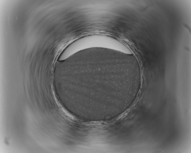 X0000102230049200808151739