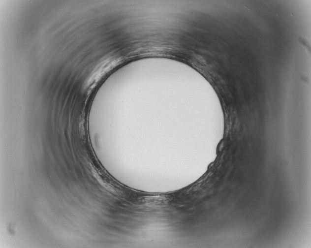X0000102230050200808151739