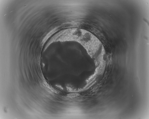 X0000102230051200808151739