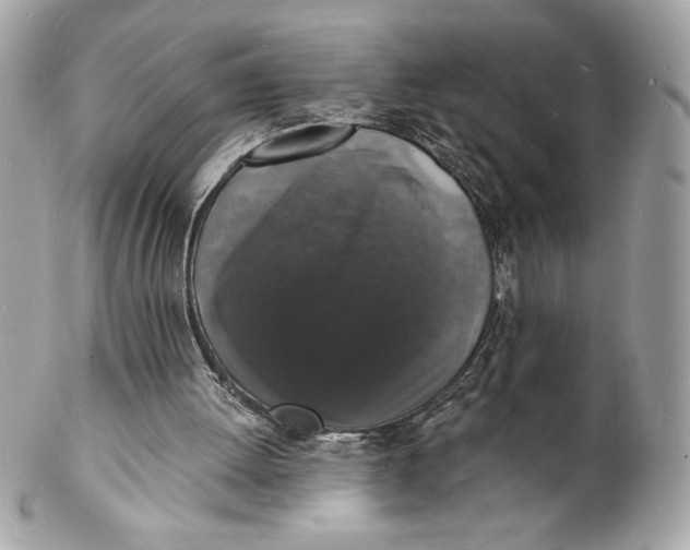 X0000102230052200808151739