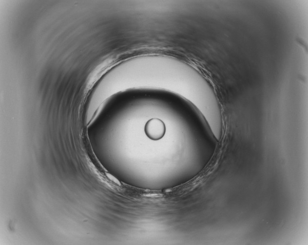 X0000102230053200808151739
