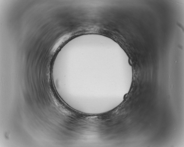 X0000102230054200808151739