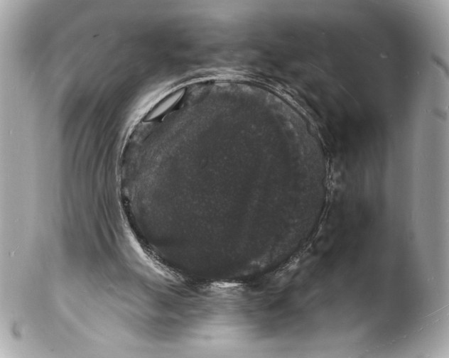 X0000102230055200808151739