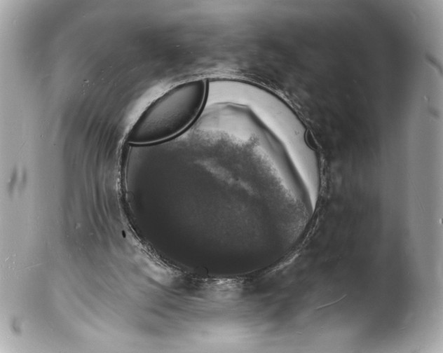 X0000102230056200808151739