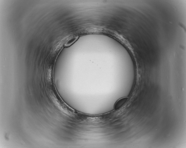 X0000102230057200808151739