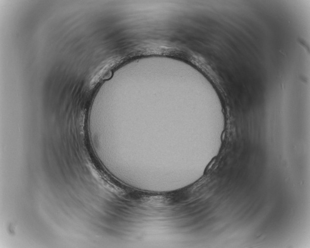 X0000102230058200808151739