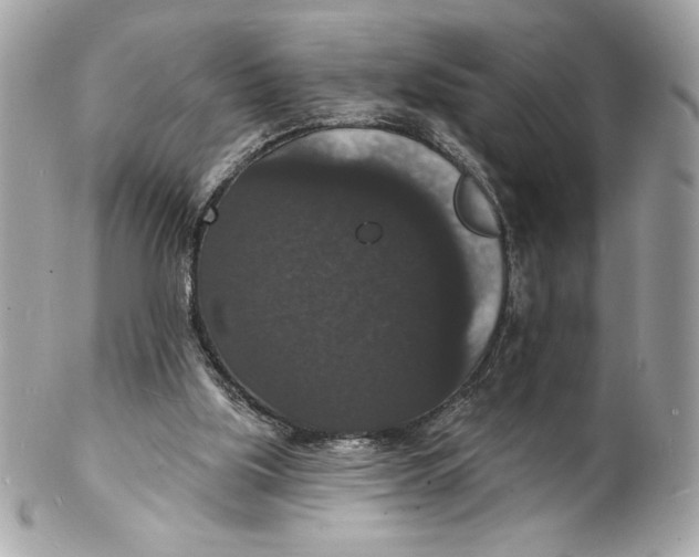 X0000102230059200808151739