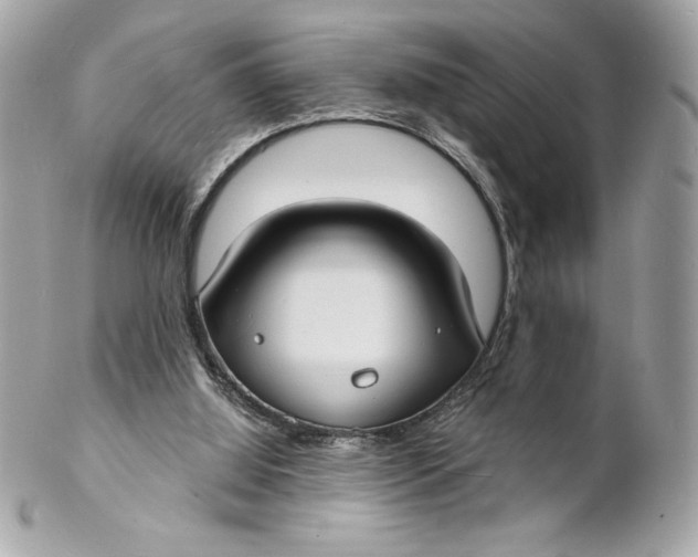 X0000102230060200808151739