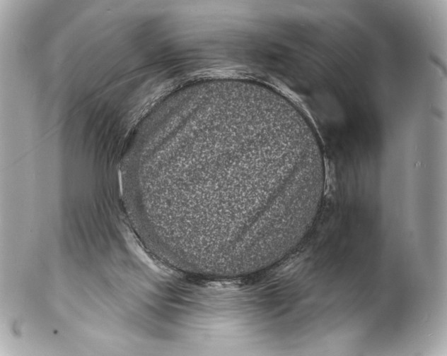 X0000102230061200808151739