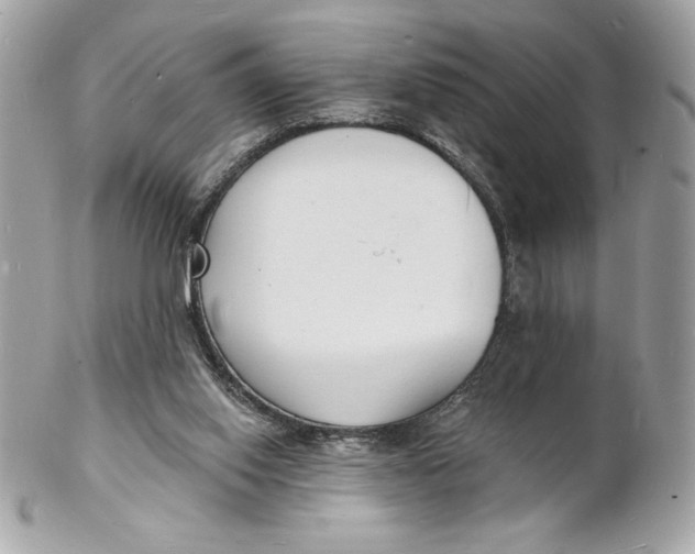 X0000102230062200808151739